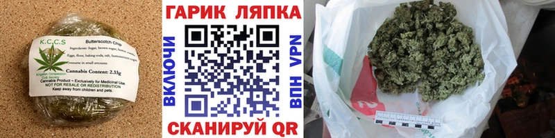 сайты даркнета официальный сайт  mega зеркало  Печенье с ТГК конопля  Пудож  купить наркотики цена 