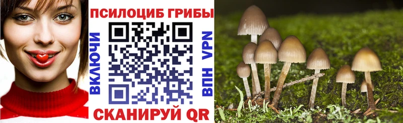 Галлюциногенные грибы мицелий  Пудож 